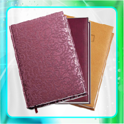 ежедневники среднего сегиента optima А5 www.promozp.com.ua