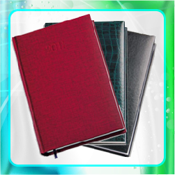 ежедневникиэконом сегмента экономикс а5