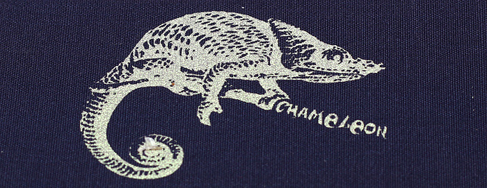 шелкотрафаретная печать на ткани , эфект хамелеона, достигается при печати специальной металлизированной краской,.